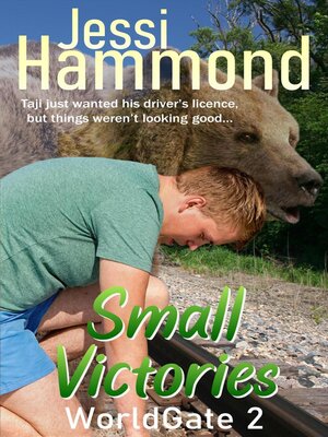 cover image of Small Victories